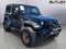 2020 Jeep Wrangler Black and Tan 4X4