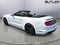 2021 Ford Mustang GT Premium Convertible