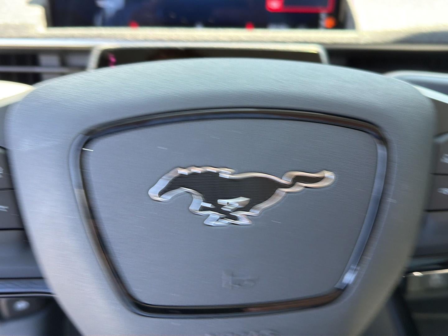 2025 Ford Mustang Mach-E Premium RWD - Photo 21