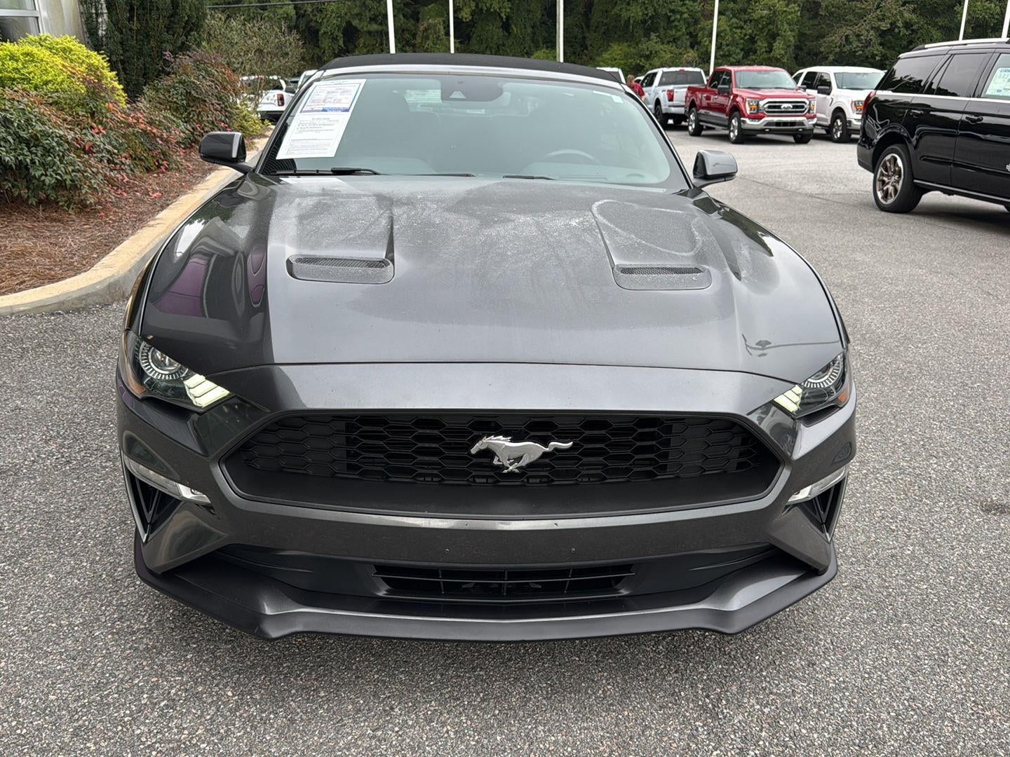 2019 Ford Mustang EcoBoost Premium