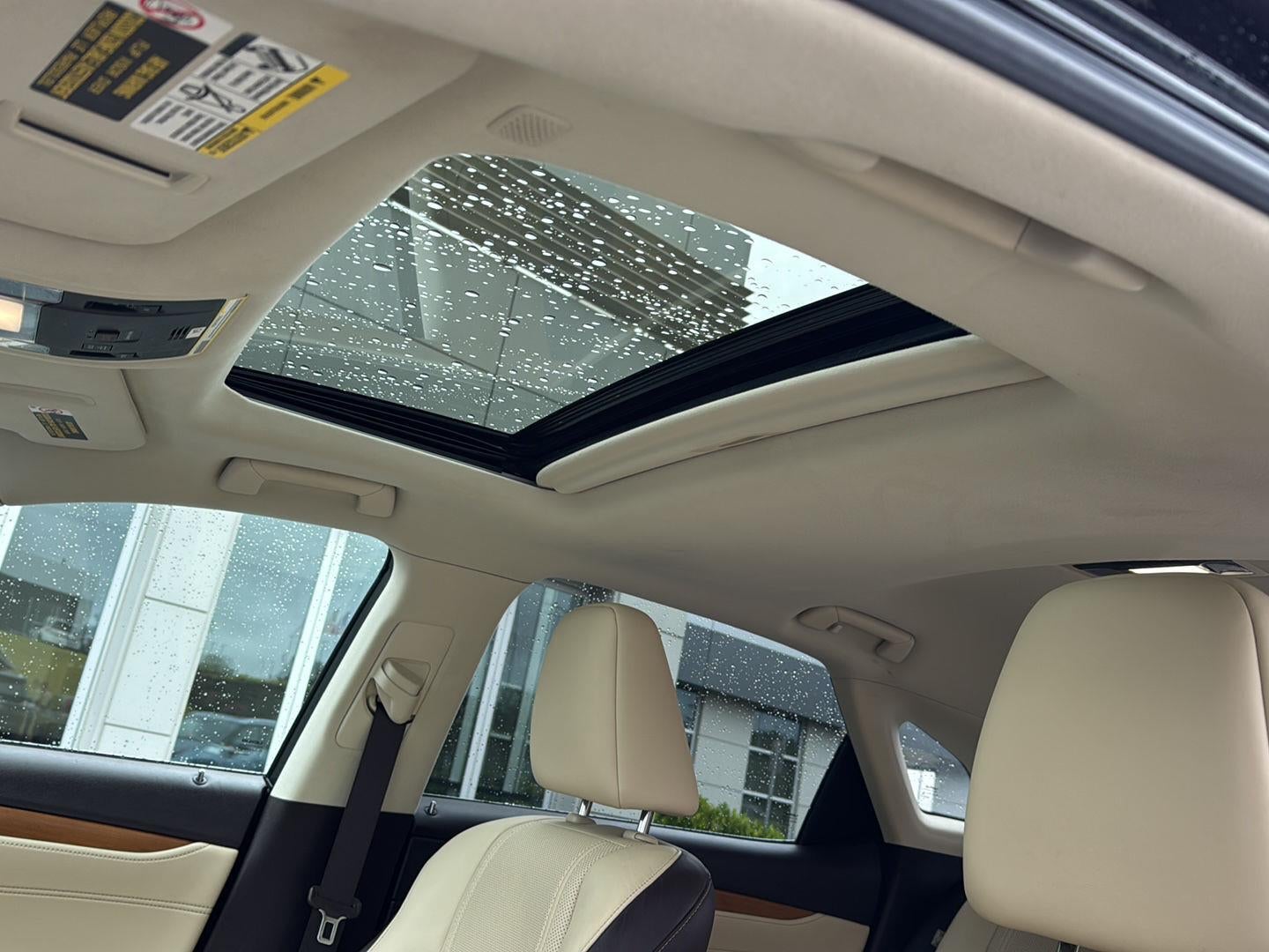 2019 Lexus RX 350 Premium