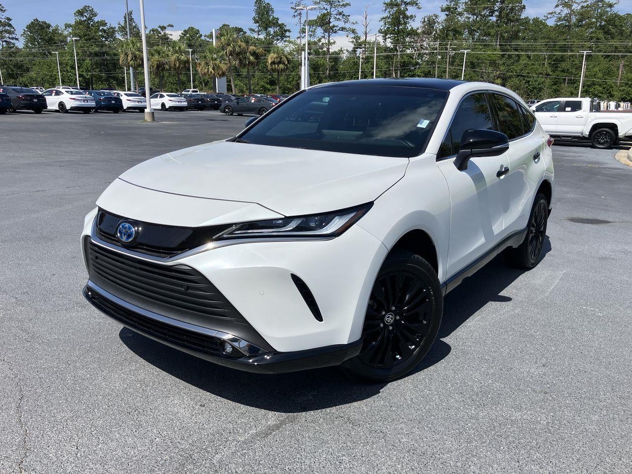 2024 Toyota Venza Nightshade Edition AWD