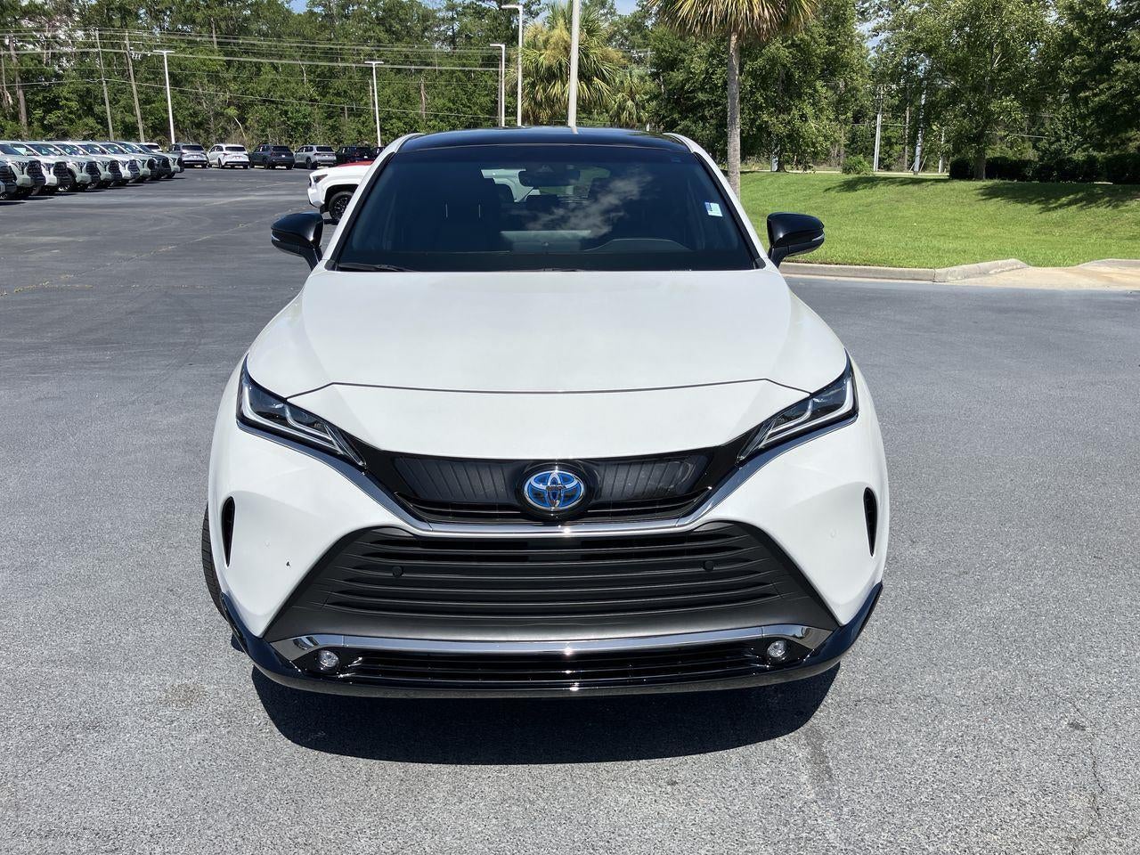 2024 Toyota Venza Nightshade Edition AWD